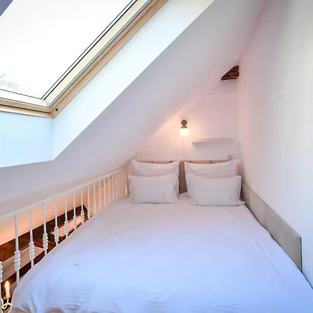 Casa Baritiu M ブラショフ